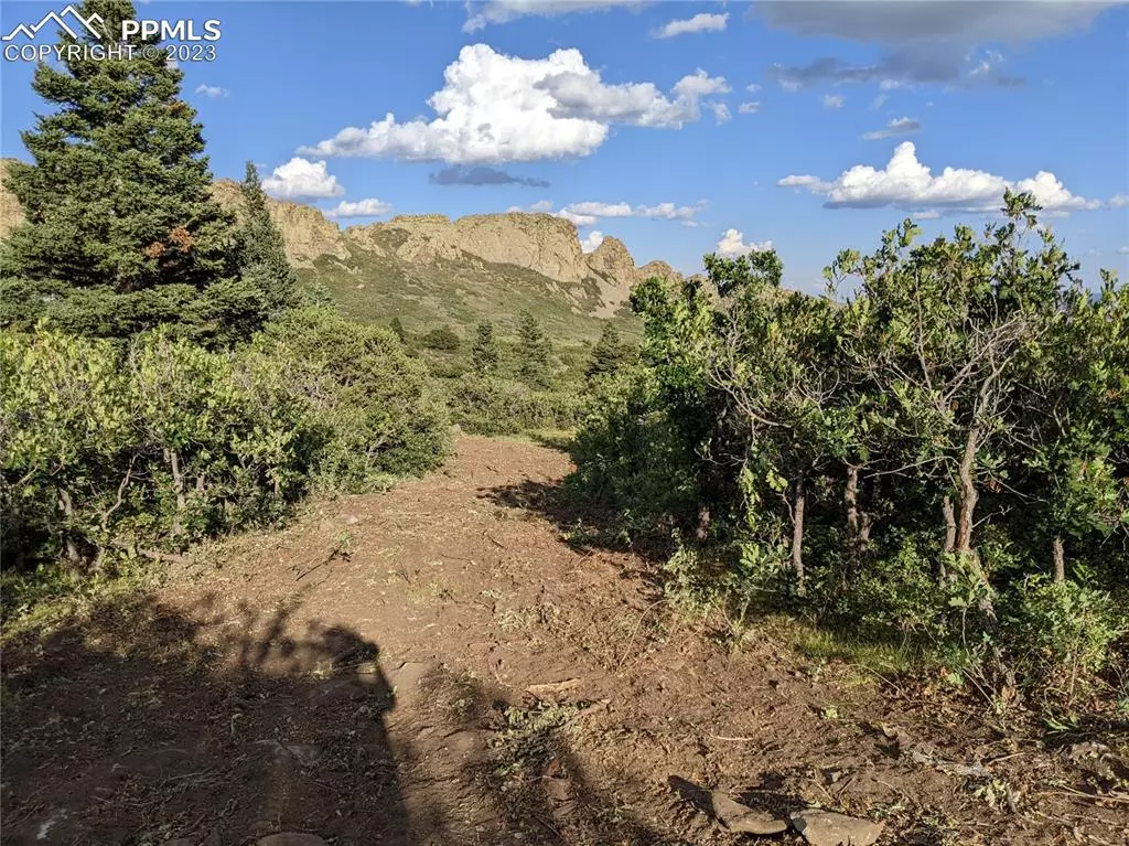 La Veta, CO 81055,LOT 66 Tres Valles