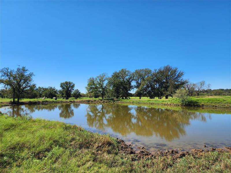 TBD FM 1176 S, Santa Anna, TX 76878