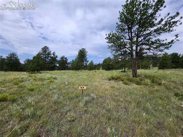 Florissant, CO 80816,2576 Southpark RD