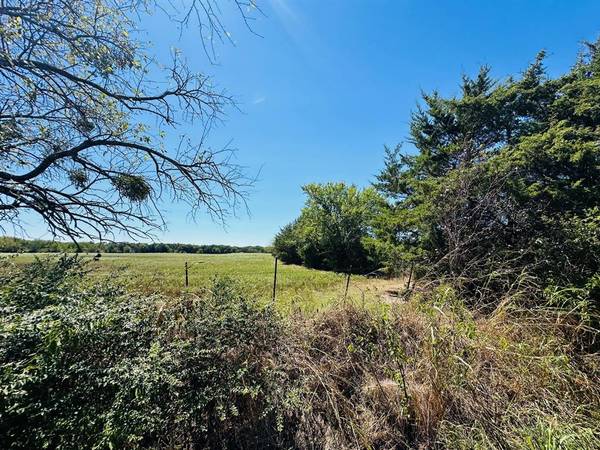 Bonham, TX 75418,TBD County Road 1430