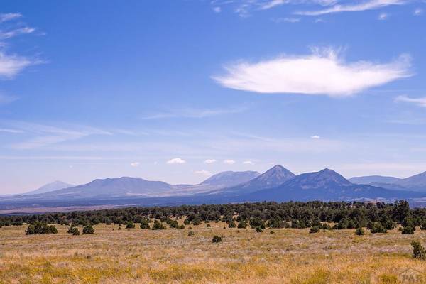 TBD County Road 634, Gardner, CO 81040