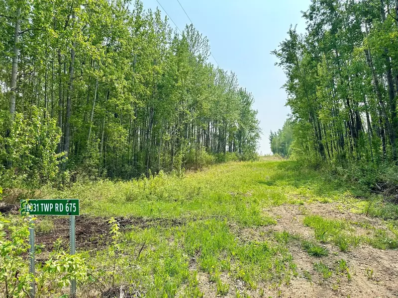 16331 TWP RD 675 #Lot 3, Plamondon, AB T0A 2T0