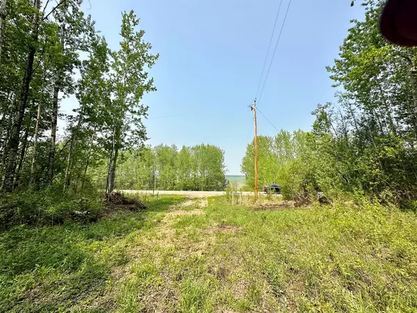 Plamondon, AB T0A 2T0,16331 TWP RD 675 #Lot 3