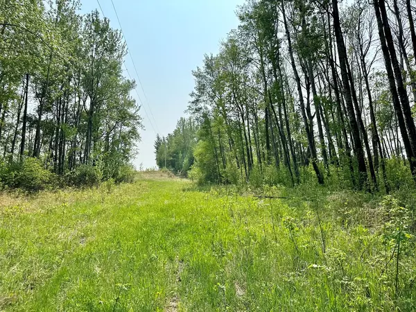 Plamondon, AB T0A 2T0,16331 TWP RD 675 #Lot 3