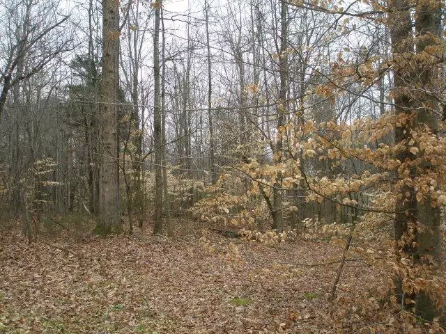 Lot 33 Old Sparta Road, Cookeville, TN 38501