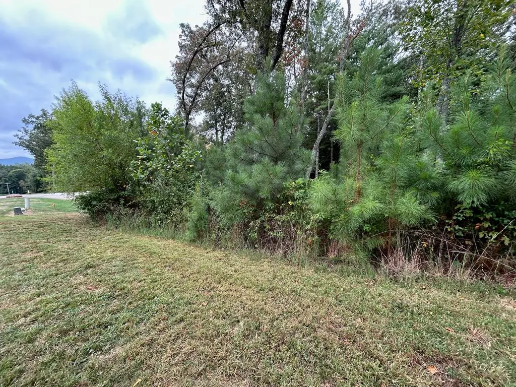 Blairsville, GA 30512,LOT 87 High Point Trail