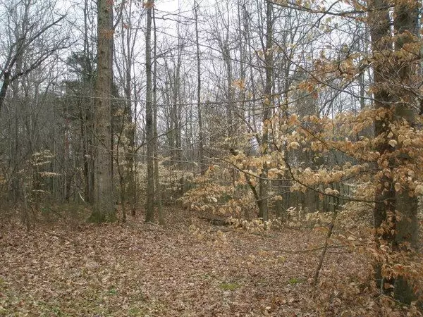 Lot 26 Ewell Drive, Cookeville, TN 38501