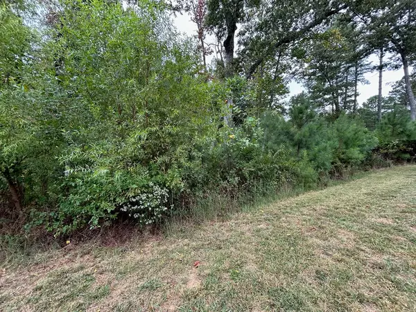 Blairsville, GA 30512,LOT 87 High Point Trail