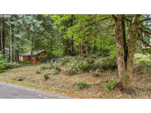 Birkenfeld, OR 97016,9842 BEACH DR