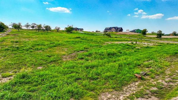 Weatherford, TX 76087,201 wren View