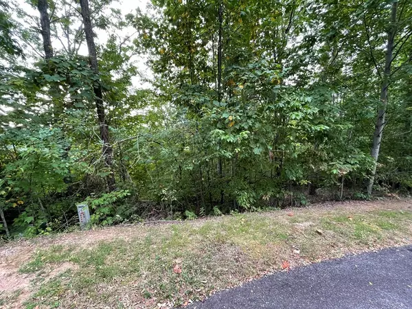 Hayesville, NC 28904,Lot 32J Mountain Harbour