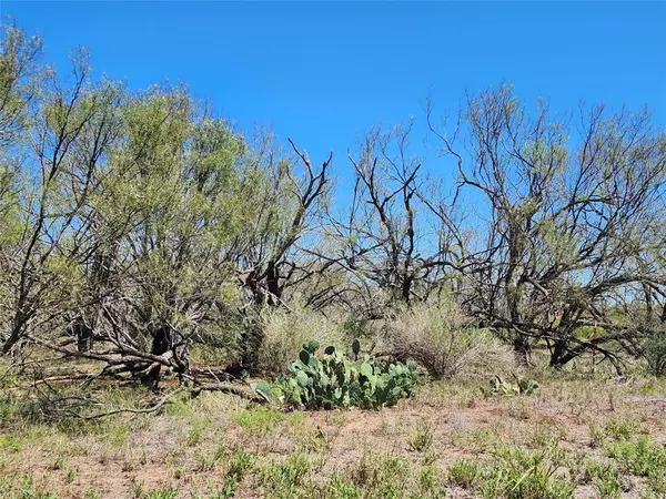 Bangs, TX 76823,TBD Fm-1176