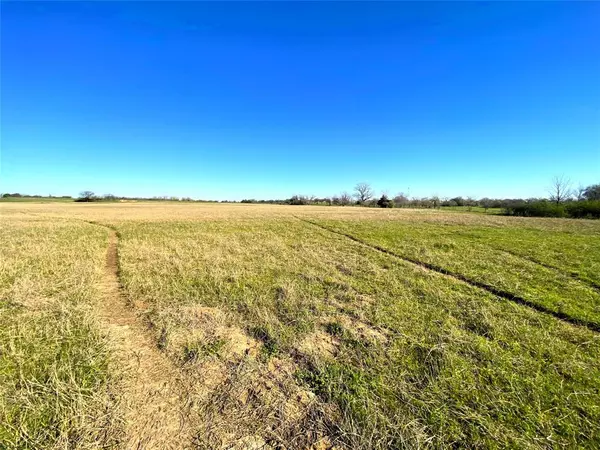 Boyd, TX 76023,50 Acres County Road 4767