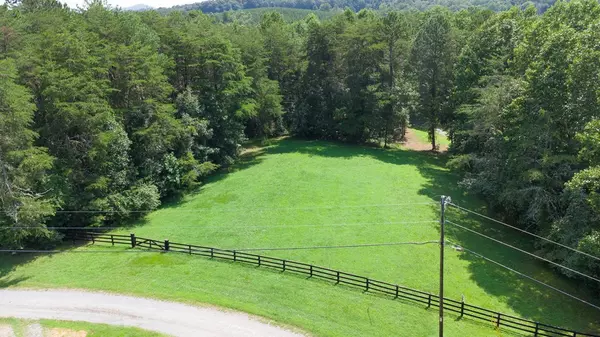 Ellijay, GA 30536,Lot 1 Burleson Road