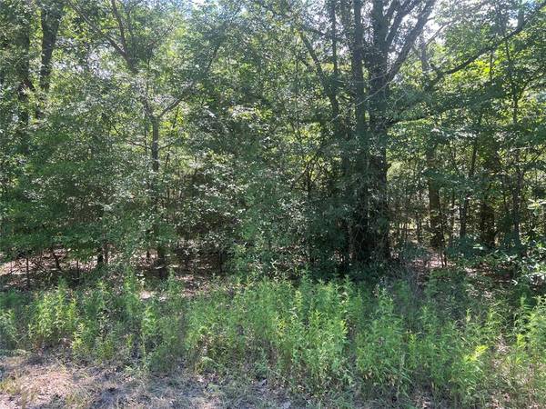 Lot 104 Dogwood Drive, Trinidad, TX 75163