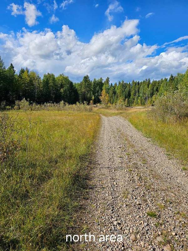 Pine Ridge DR, Rural Clearwater County, AB T4T 1A7