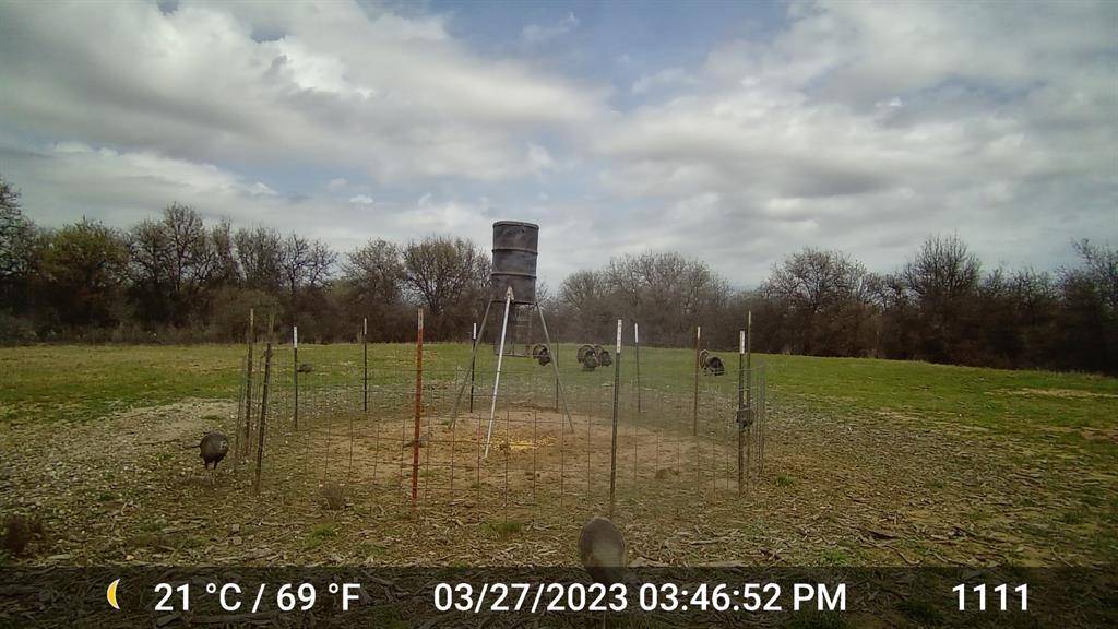 11653 FM 1226 Parcel B, Hawley, TX 79525