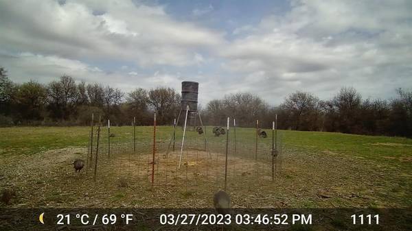 11653 FM 1226 Parcel B,  Hawley,  TX 79525