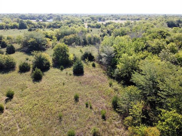 Campbell, TX 75422,Lot 4 Cr 3202