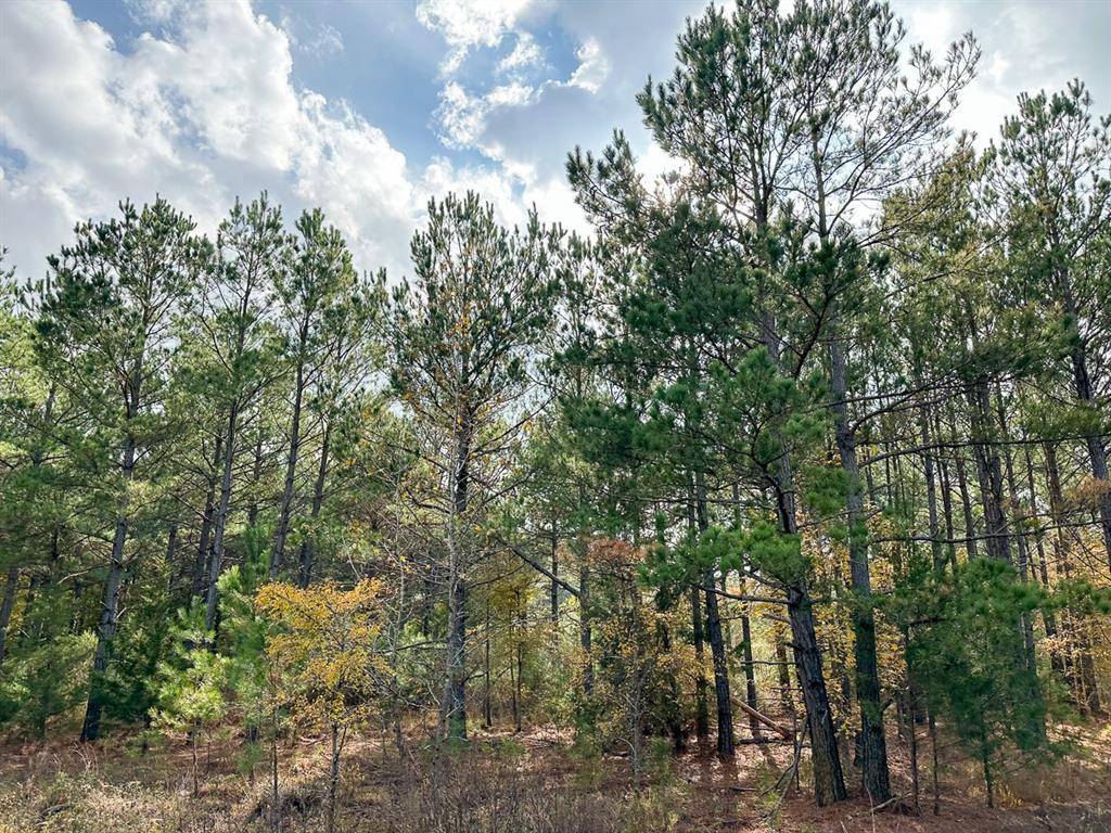 Hughes Springs, TX 75656,000 CR 2115