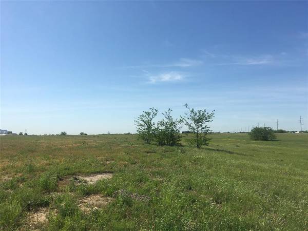 1033 Lilly Lane, Peaster, TX 76485