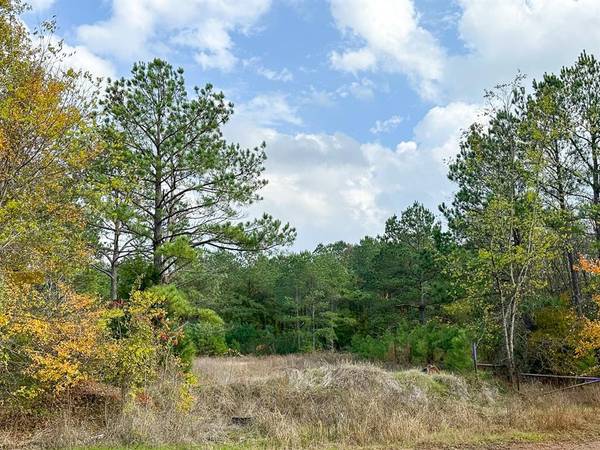 Hughes Springs, TX 75656,000 CR 2115