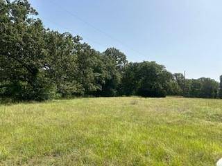 Quinlan, TX 75169,tbd Lakeview Drive