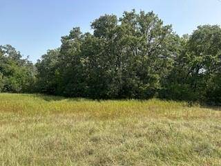 Quinlan, TX 75169,tbd Lakeview Drive