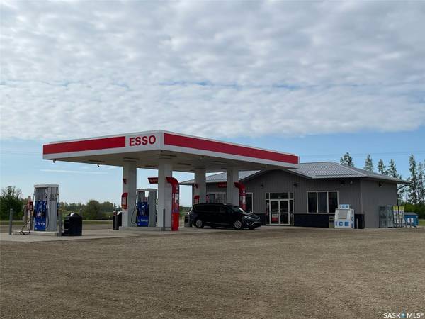 225 Kaiser William AVENUE, Langenburg, SK S0A 2A0