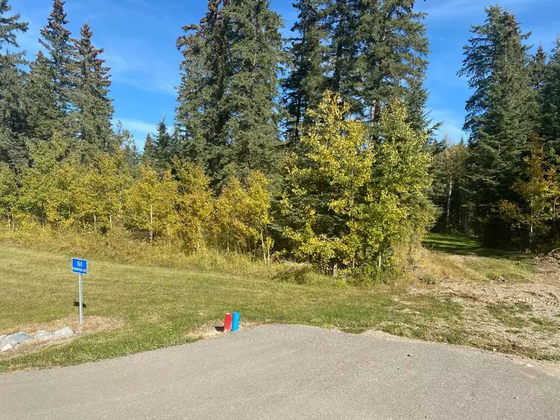 160 Meadow Ponds DR, Rural Clearwater County, AB T4T 1A7