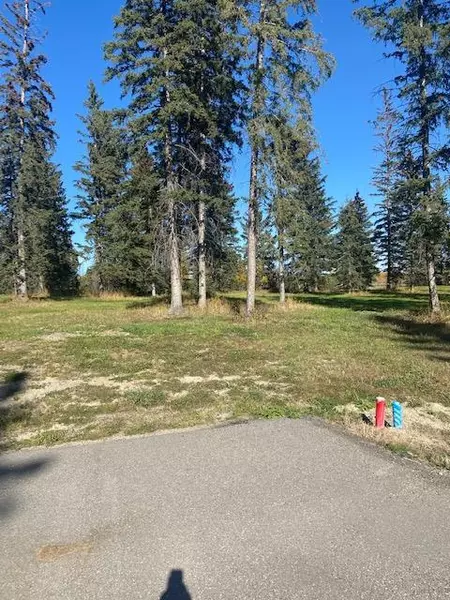 313 Valley View DR, Rural Clearwater County, AB T4T1A7