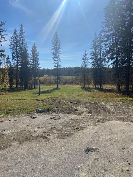 305 Valley View DR, Rural Clearwater County, AB T4T 1A7