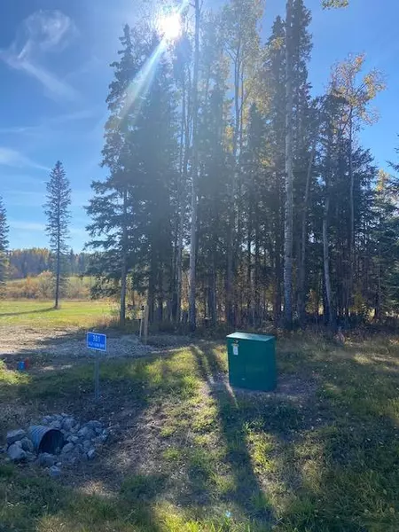 301 Valley View DR, Rural Clearwater County, AB T4T1A7