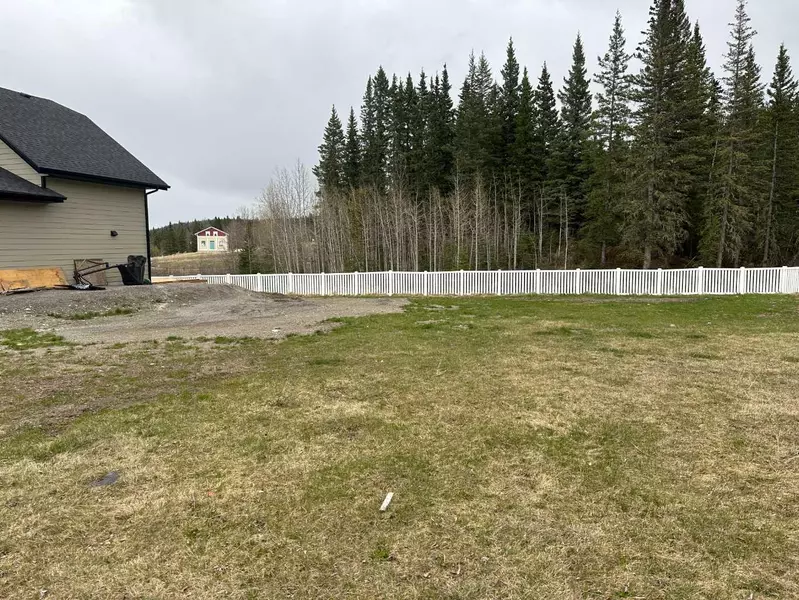 355 Elizabeth AVE, Nordegg, AB T0M 2H0