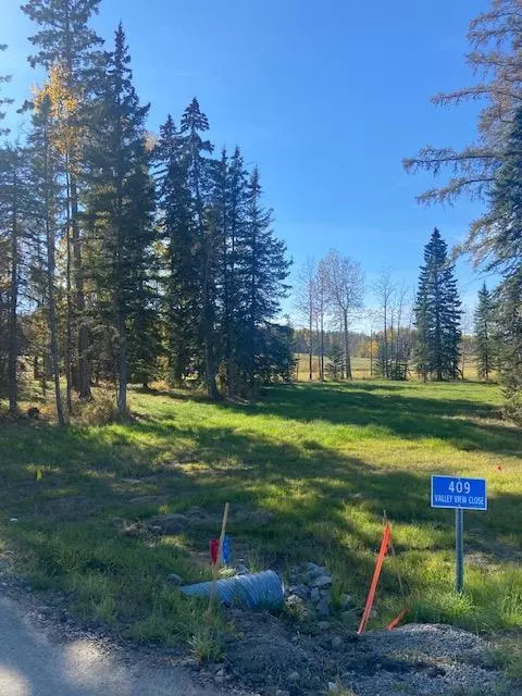 Rural Clearwater County, AB T4T 1A7,409 Valley View Close