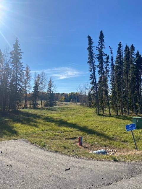 Rural Clearwater County, AB T4T 1A7,401 Valley View Close