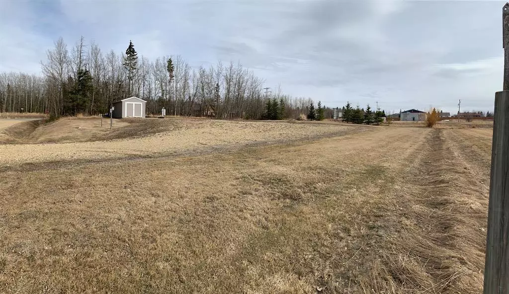 Village At Pigeon Lake, AB T0C 2V0,31 Village Creek Estates