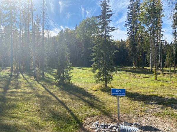 149 Meadow Ponds DR, Rural Clearwater County, AB T4T 1A7