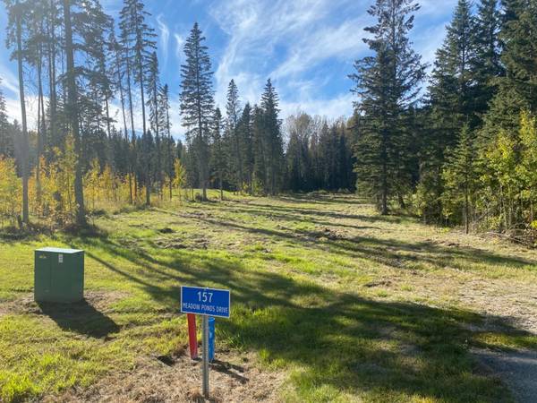 157 Meadow Ponds DR, Rural Clearwater County, AB T4T 1A7