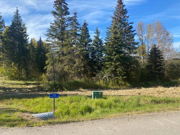 169 Meadow Ponds DR, Rural Clearwater County, AB T4T 1A7