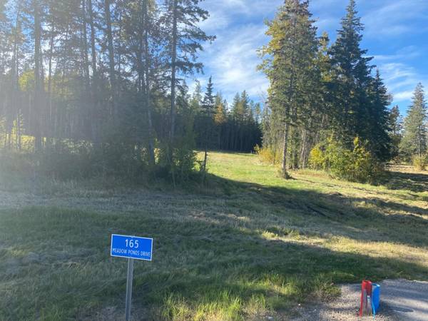 165 Meadow Ponds DR, Rural Clearwater County, AB T4T 1A7