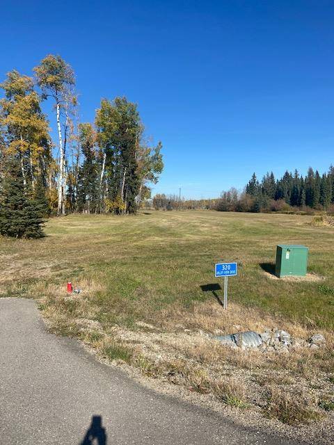 316 Valley View DR, Rural Clearwater County, AB T4T 1A7