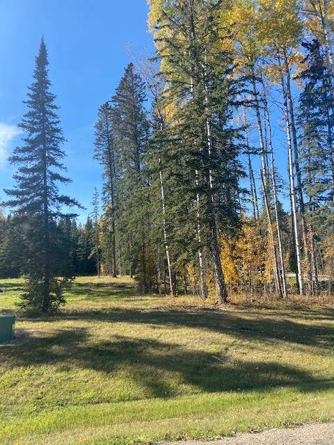 153 Meadow Ponds DR, Rural Clearwater County, AB T4T 1A7