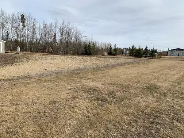 Village At Pigeon Lake, AB T0C 2V0,31 Village Creek Estates