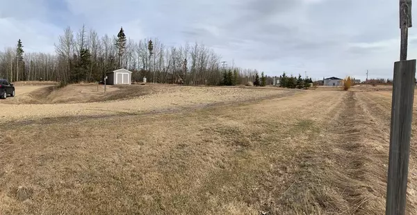 Village At Pigeon Lake, AB T0C 2V0,31 Village Creek Estates