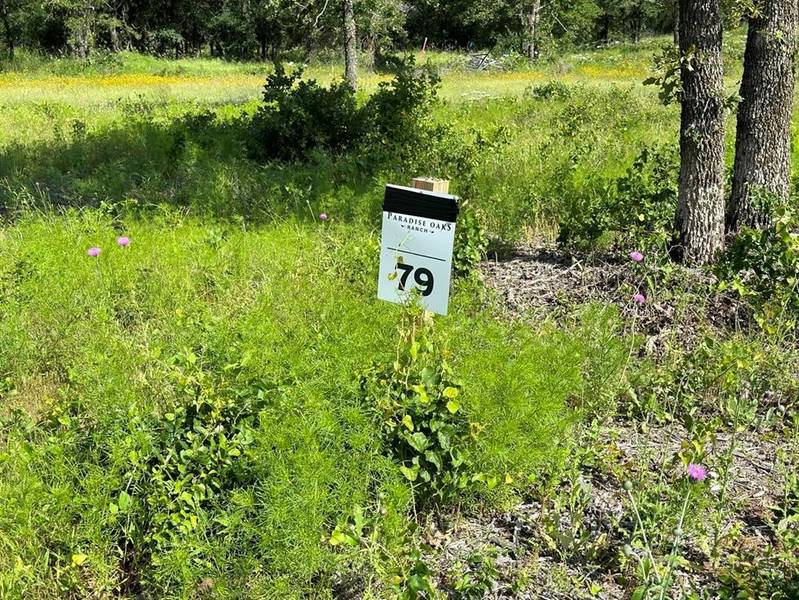 Lot 79 Paradise Oaks, Perrin, TX 76486