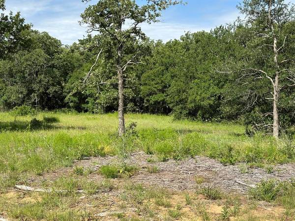 Perrin, TX 76486,Lot 79 Paradise Oaks