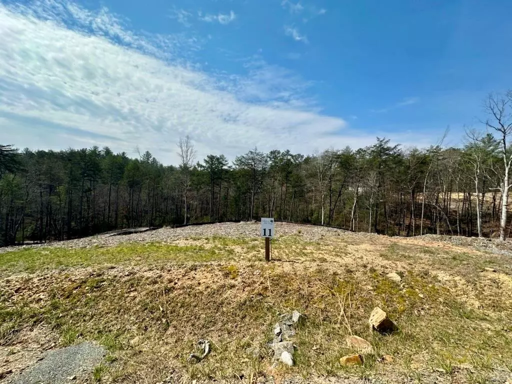 Mineral Bluff, GA 30559,Lot 11 Mountain Laurel Ridge