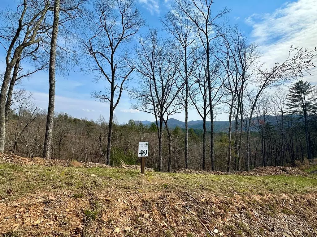 Mineral Bluff, GA 30559,Lot 49 Mountain Laurel Ridge