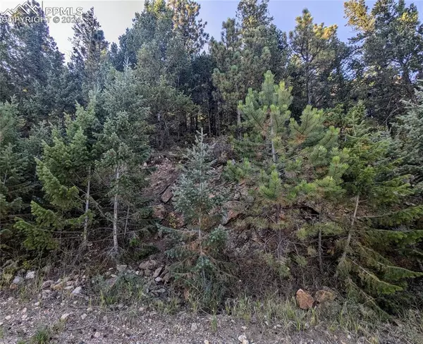 Idaho Springs, CO 80452,Divide View DR